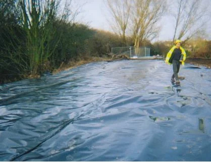sheet image 1